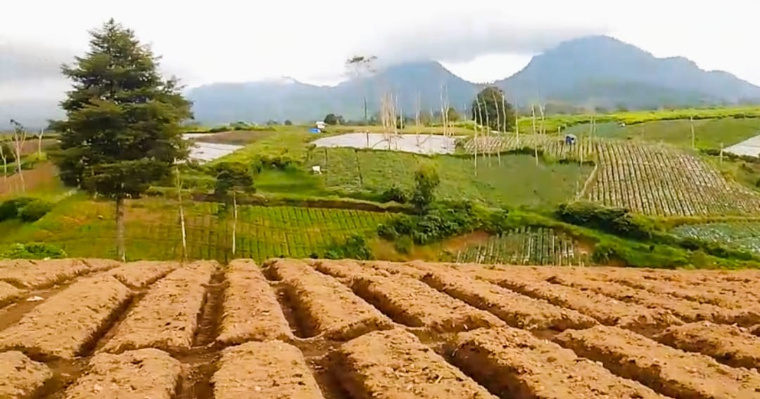Puluhan Hektare Blok Cikahuripan Kembali Hilang Benarkah Lemahnya Pengawasan?