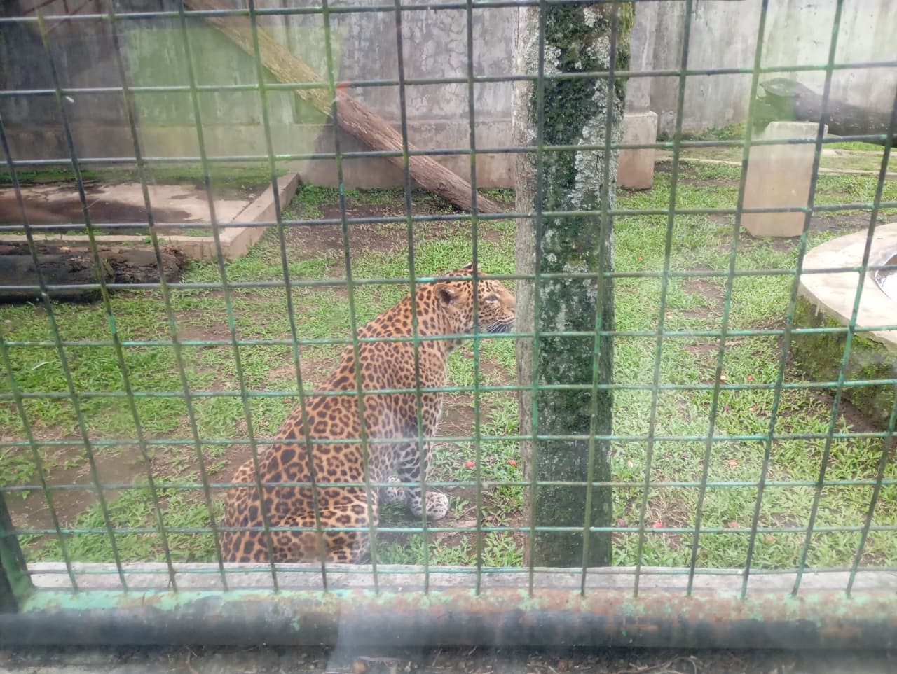 Obyek Wisata Satwa Cikembulan diliburan Natal dan Tahun Baru Mengalami Penurunan Dikarenakan Cuaca 