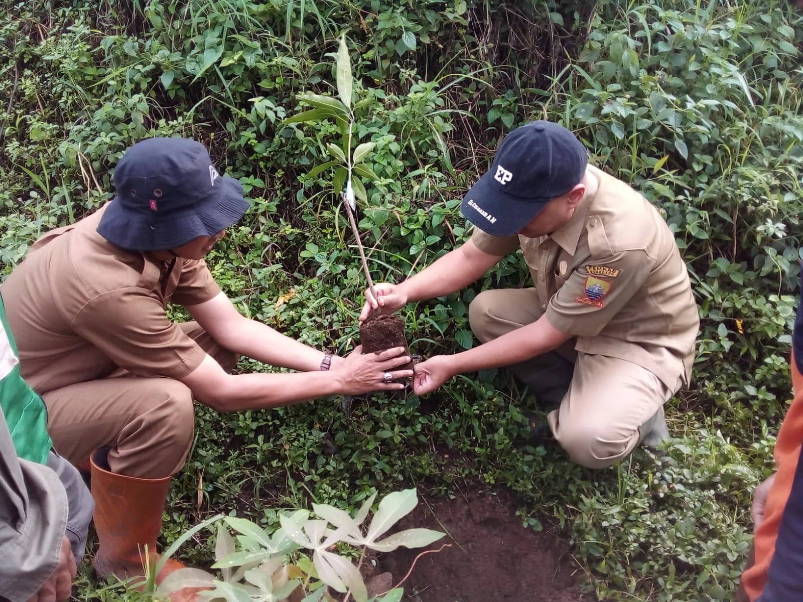 Cegah Longsor Gunung Geulis, TNI-Polri Tanam 95 Pohon Keras dan Produktif 