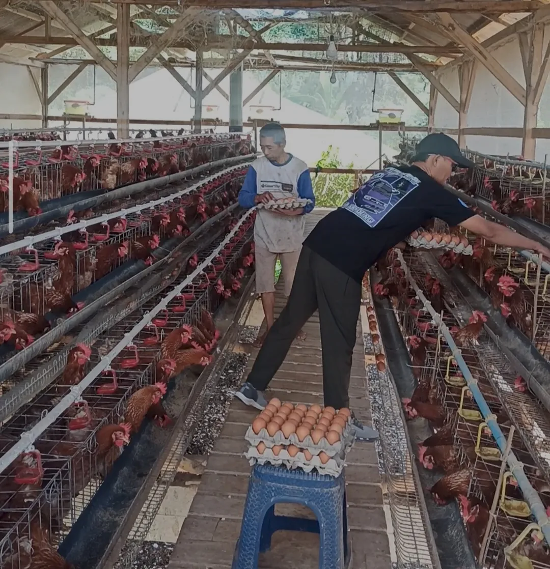 BUMDes Jawara Tumbuh Pesat, Kini Butuh Dukungan Alat Produksi Pakan dari Pemkab